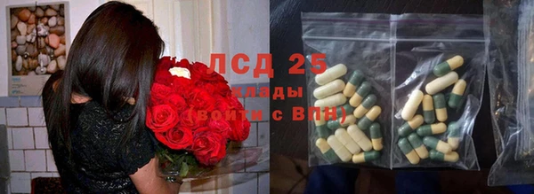 spice Беломорск