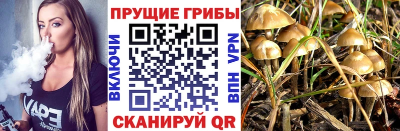 Псилоцибиновые грибы мухоморы Няндома