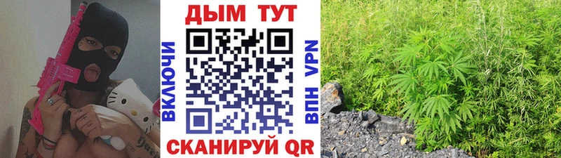 Каннабис тримм  купить наркоту  дарк нет телеграм  Няндома 